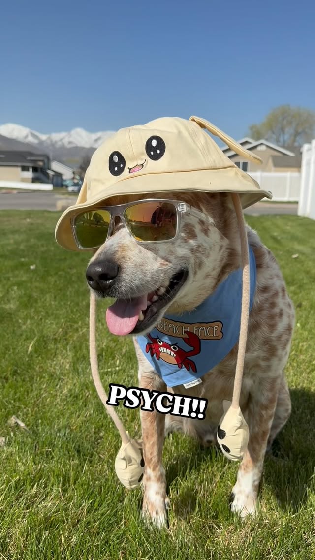 Instagram post by @rusty.theredheeler for Corny Dog Cloth. Caption reads: [...] 🤩 “Resting beach face” bandana from....