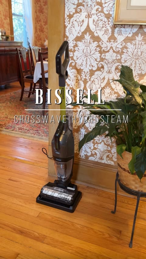 Instagram post by @silv.wassumz for BISSELL. Caption reads: [...] especially with pets at home 🐾
The....