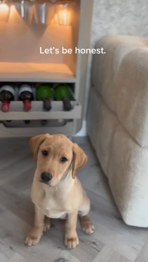 Instagram post by @rebeccaforrey for Olivias. Caption reads: [...] arrived just in time for Christmas from....