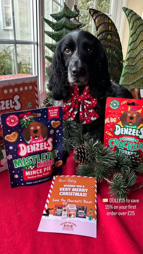 Instagram post by an influencer for Denzel's. Caption reads: [...] 🎄✨ The lovely elves @thedenzelstory sent me....
