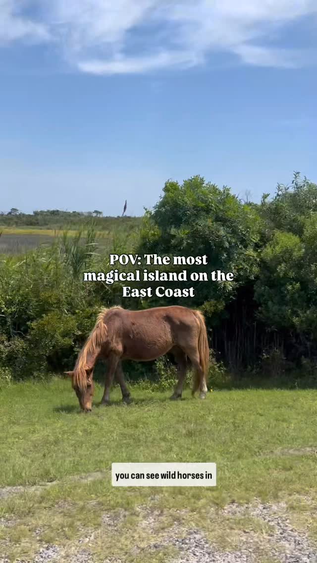 Instagram post by @jaymiknowsfun for Visit The USA. Caption reads: My FAVORITE beach on the East Coast....