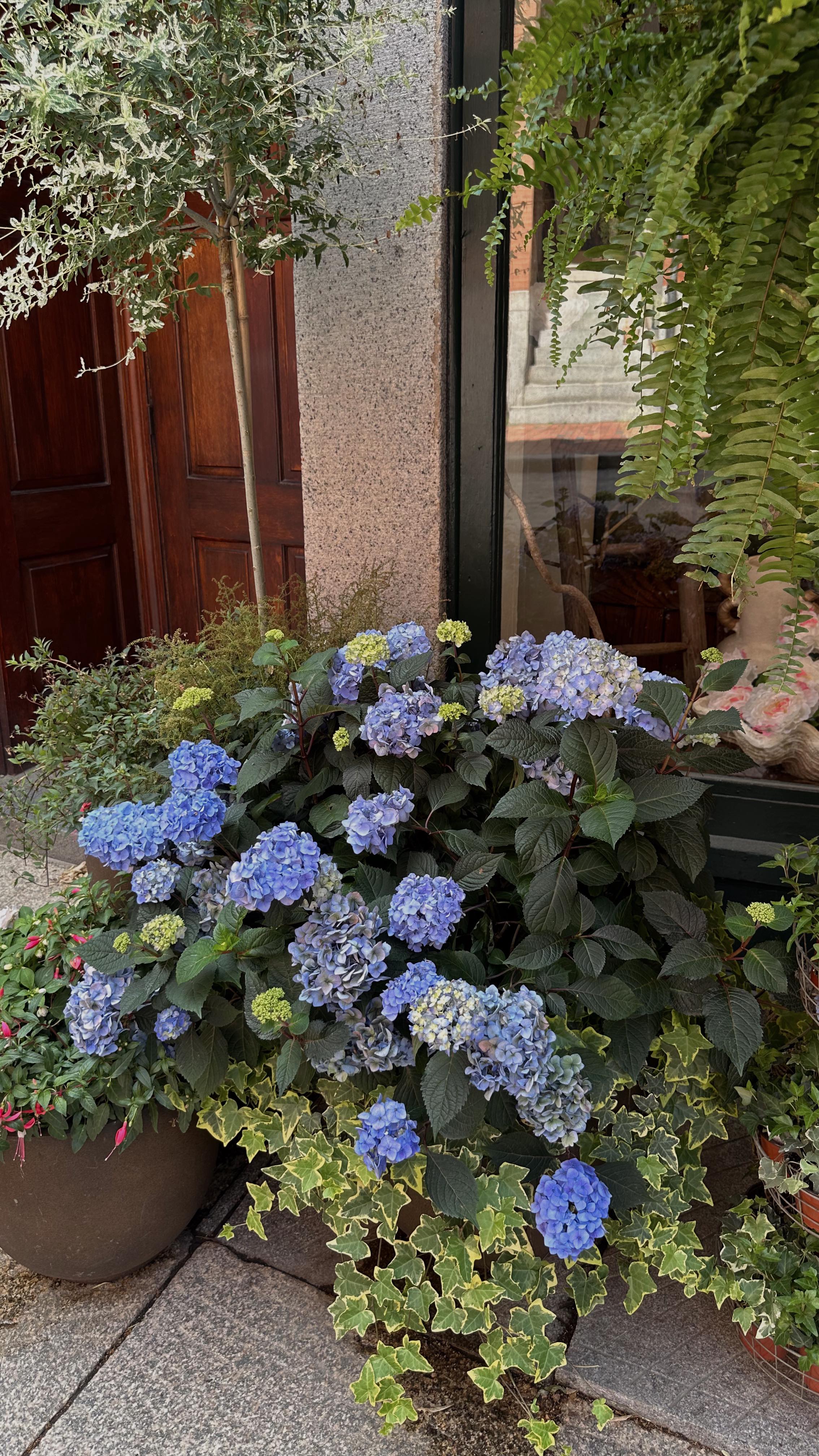 Instagram post by @kimmie.kris for La Colombe Coffee. Caption reads: Best day with the best coffee🫶🏼 @lacolombecoffee....