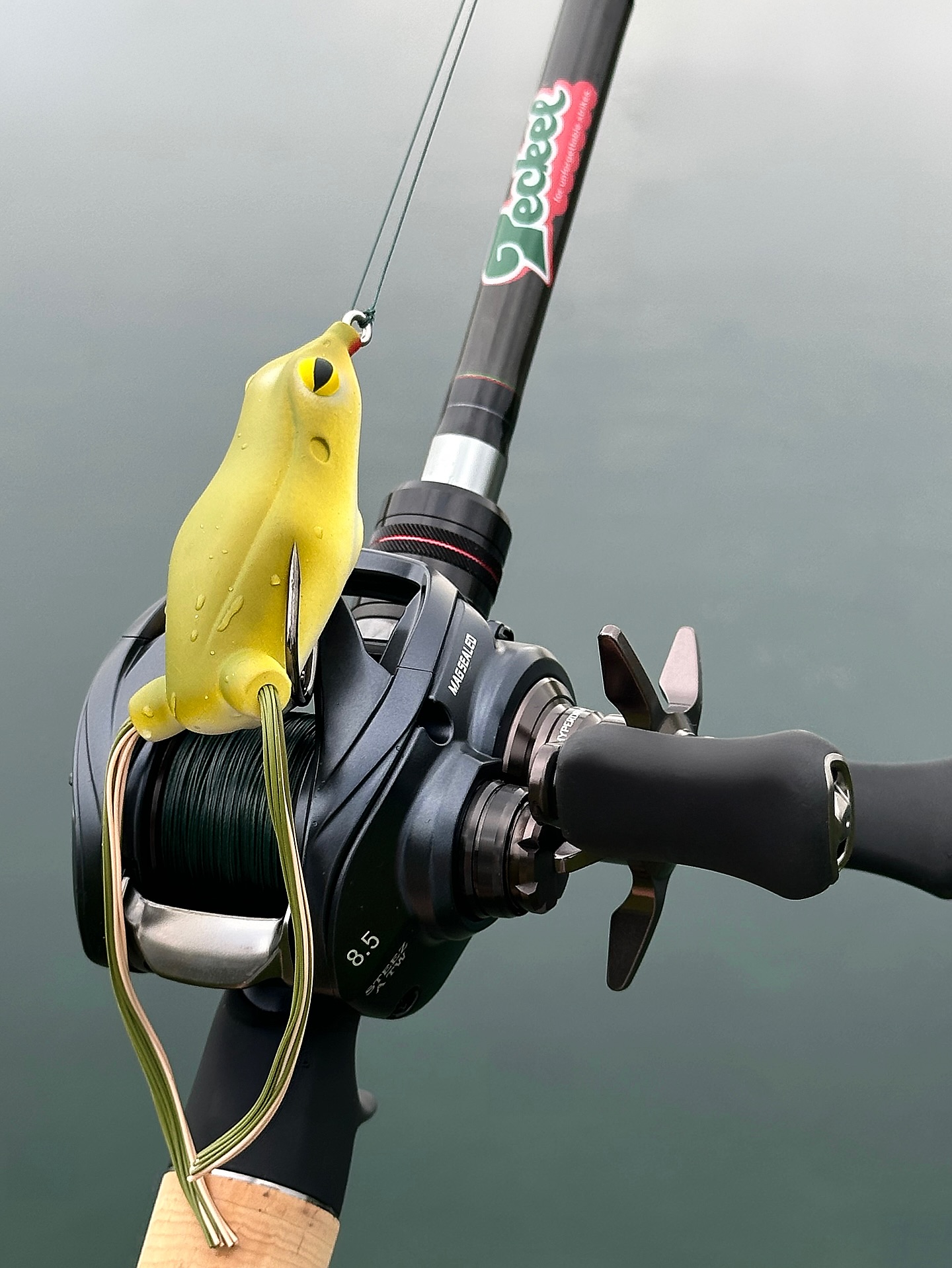Instagram post by @indy.fishing for Daiwa. Caption reads: Froggin’ Combo 💥🐸 via the NEW Teckel Frog Game....