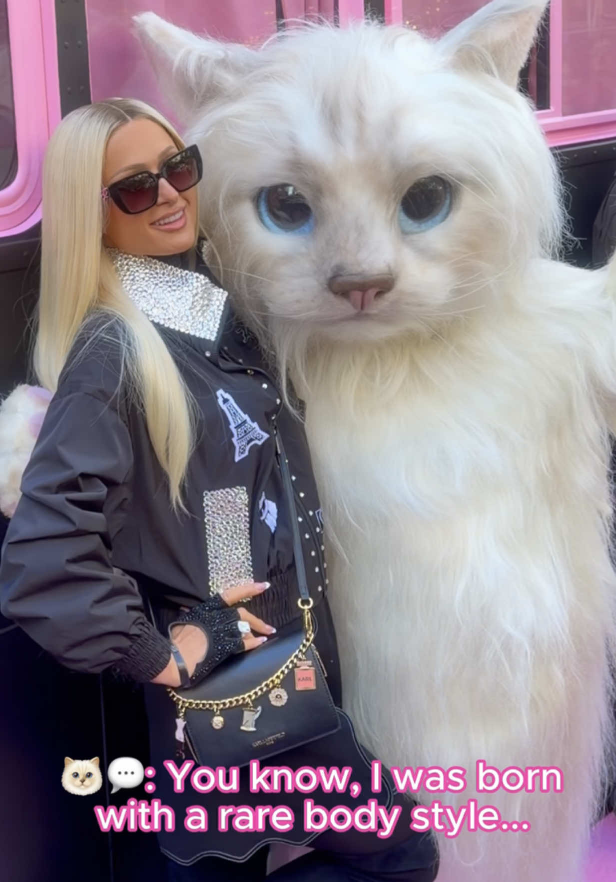TikTok post by @parishilton for KARL LAGERFELD. Caption reads: [...] DJ set in #NYC with @Karl Lagerfeld 😻.
