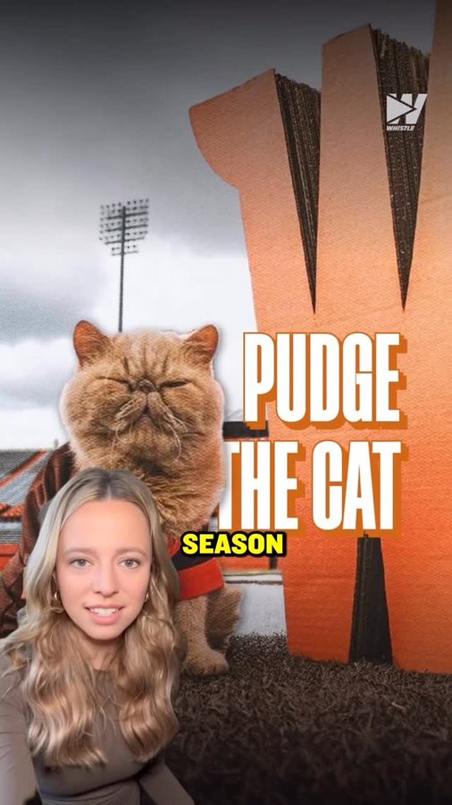 Instagram post by @elliotgeorgiadis for Whistle. Caption reads: Safe to say this is the first cat with NIL deals....