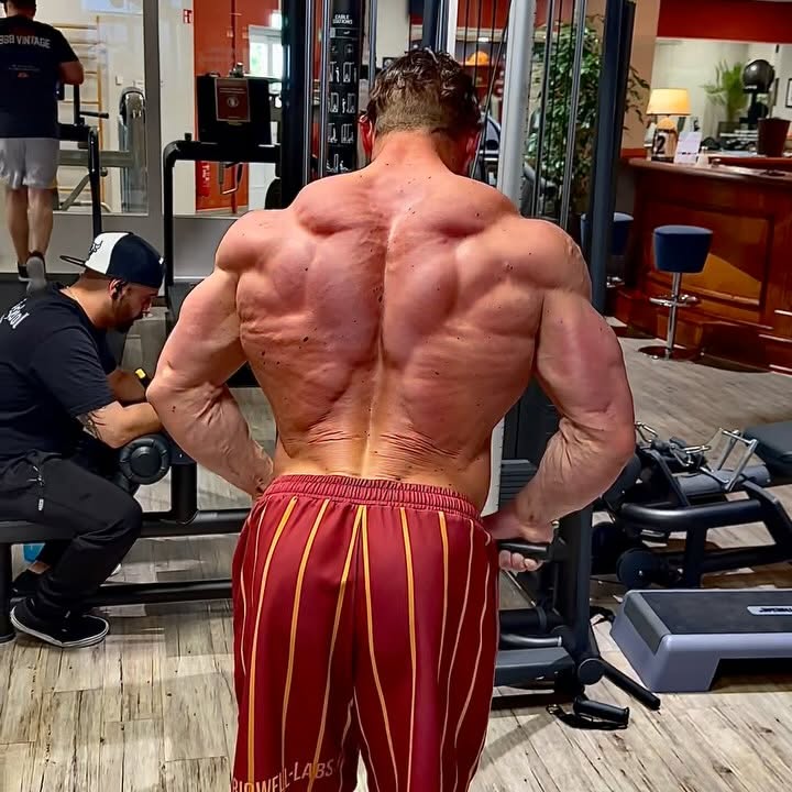 Instagram post by @chrisbaumann_ for VQ FIT. Caption reads: Yesterday I have one of the BEST-Workout‘s 🏋️‍♀️....