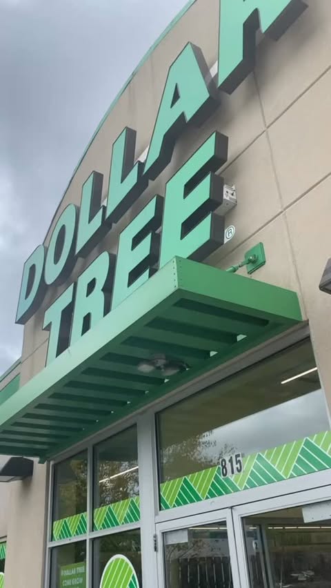 Instagram post by @shaboys_akron for Dollar Tree. Caption reads: Dollar Tree Thanksgiving ‼️‼️ No SNAP, NO Problem....