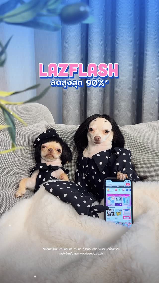 Instagram post by @iam.calorie for LAZADA.co.th. Caption reads: 🐶....