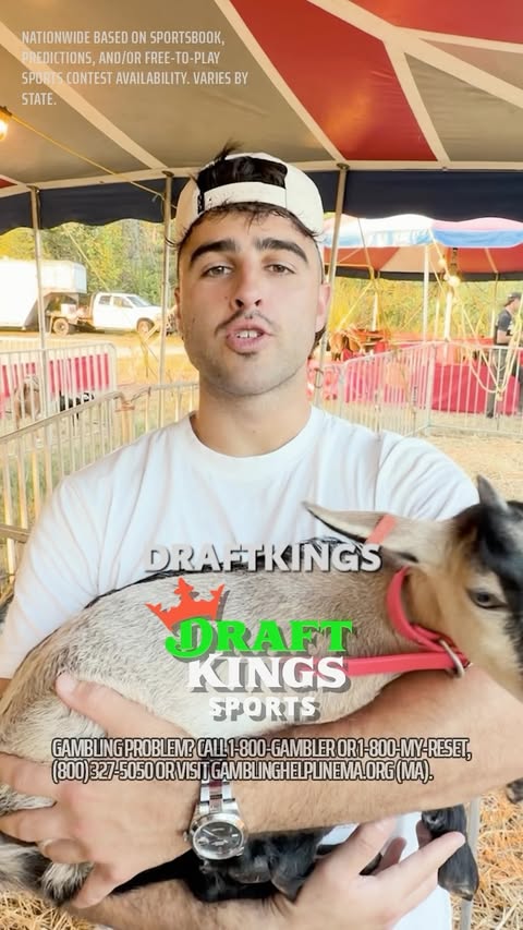 Instagram post by @nicknayersina for DraftKings Sportsbook. Caption reads: Should we get a team goat to watch the games with....