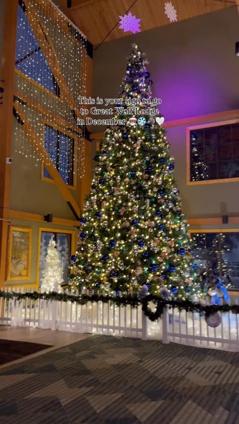 Instagram post by @iamlaurenlyrics for Great Wolf Lodge. Caption reads: Wolf Out with us at @GreatWolfLodge during their....