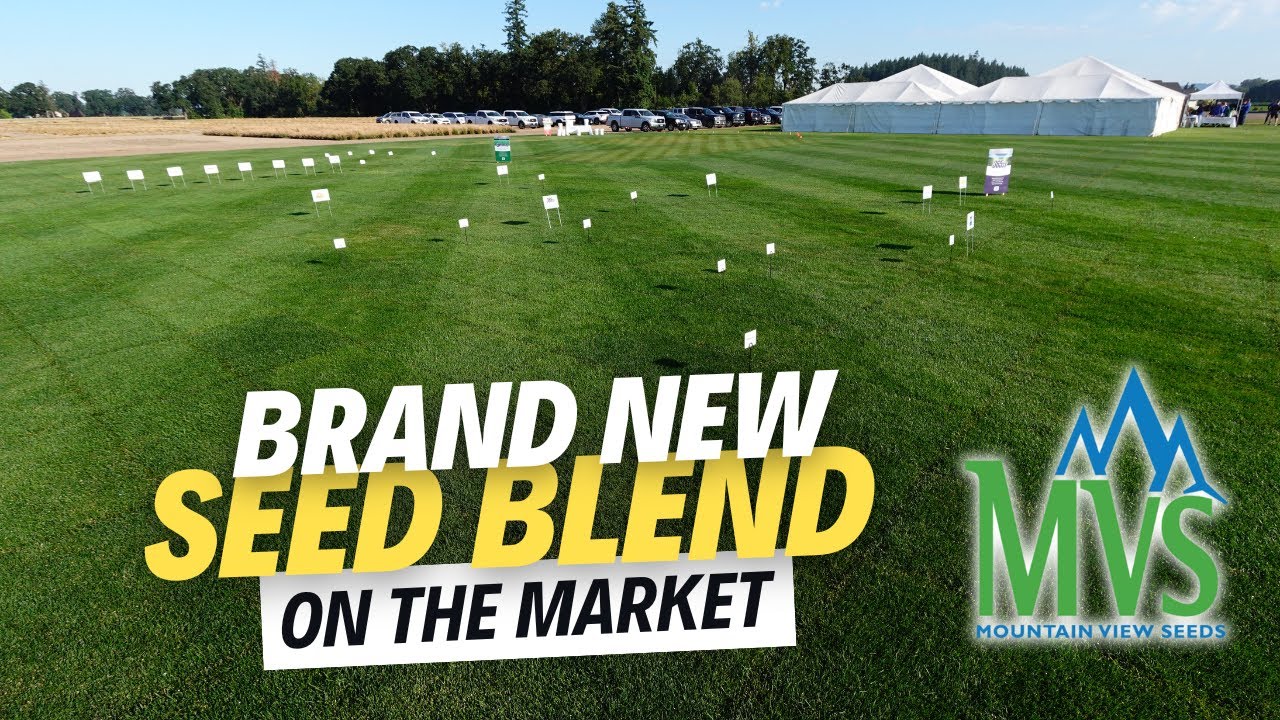 YouTube post by @ElevatedLawnscapes for Simple Lawn Solutions. Caption reads: Heavy Shade In Your Lawn?  This Grass Seed Blend....