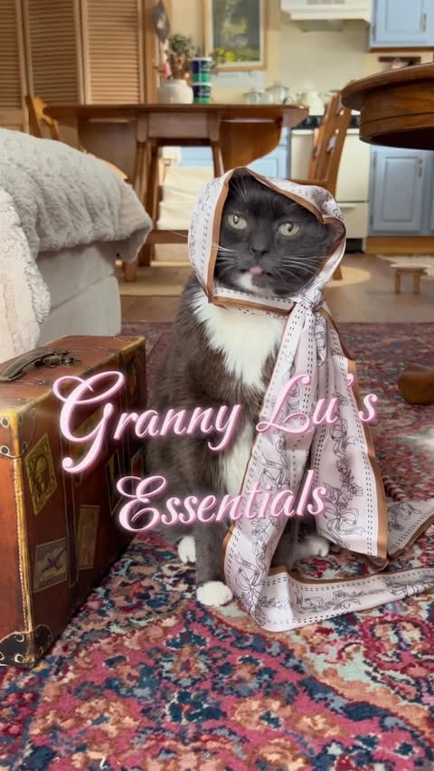 Instagram post by @lucilletherescuecat for NaturVet. Caption reads: [...] she never forgets her supplements from....
