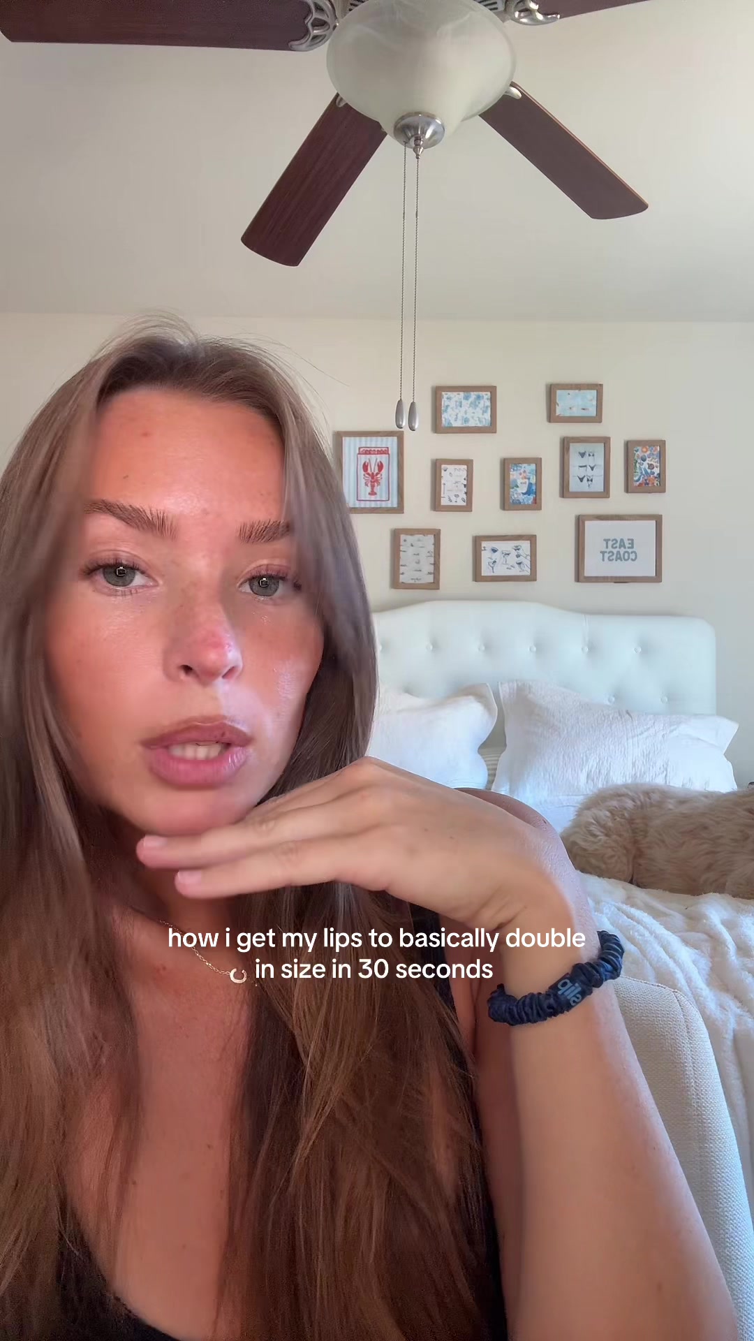 TikTok post by @chloevanberkel for Palladio Beauty. Caption reads: i have never made a tik tok shop video but for....