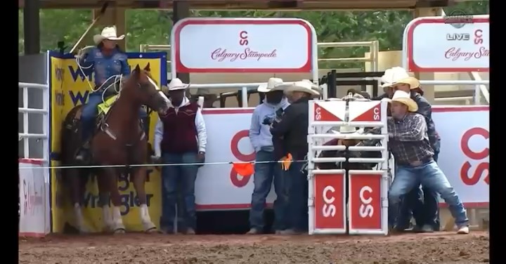 Instagram post by @marthaangelone for Turtlebox. Caption reads: We had another slow week with some missed....