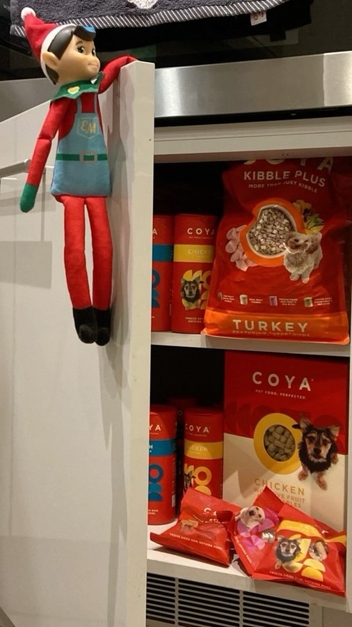 Instagram post by @lets.go.romeo for COYA Pet. Caption reads: Dis stupid elf! 🎄🐾 anyone else sick of this guy....