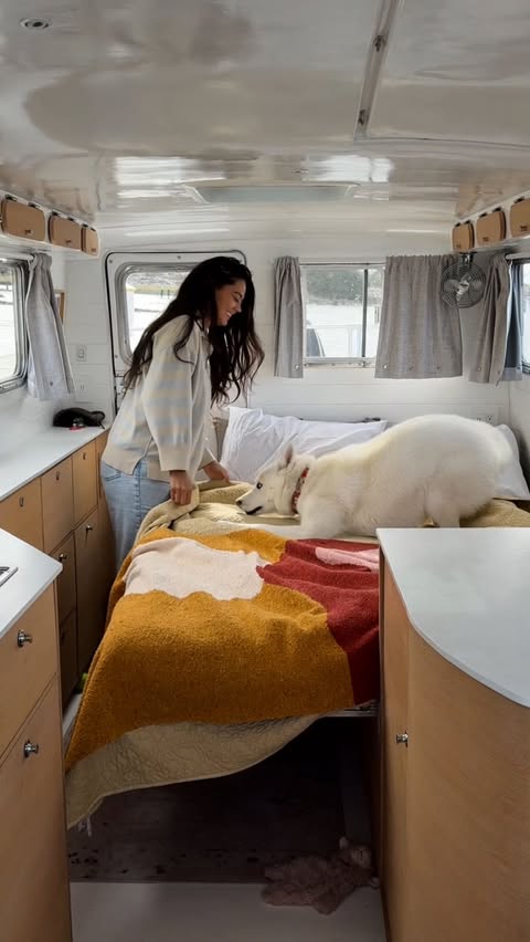 Instagram post by @slowcarfasthome for Jinx. Caption reads: Any other husky owners have to put on a full....