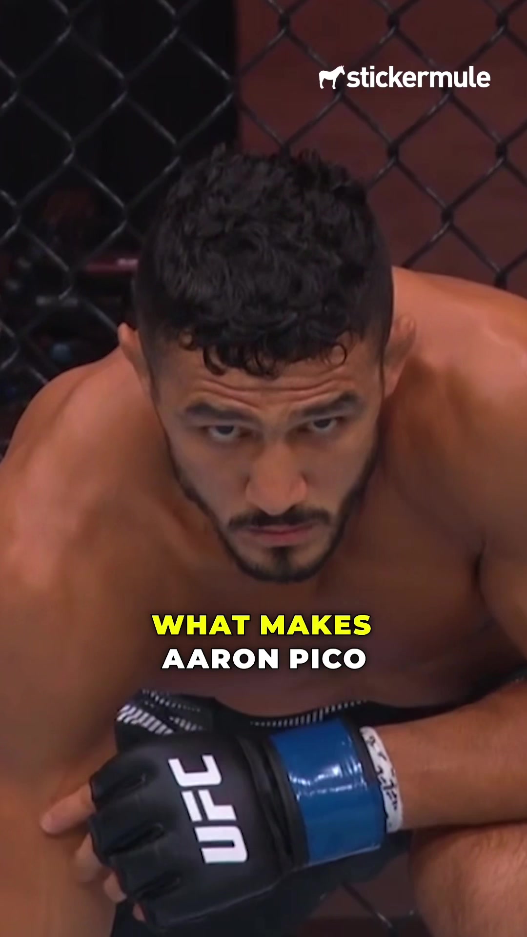 TikTok post by @henrycejudo for Sticker Mule. Caption reads: Aaron Pico is able to make the necessary....