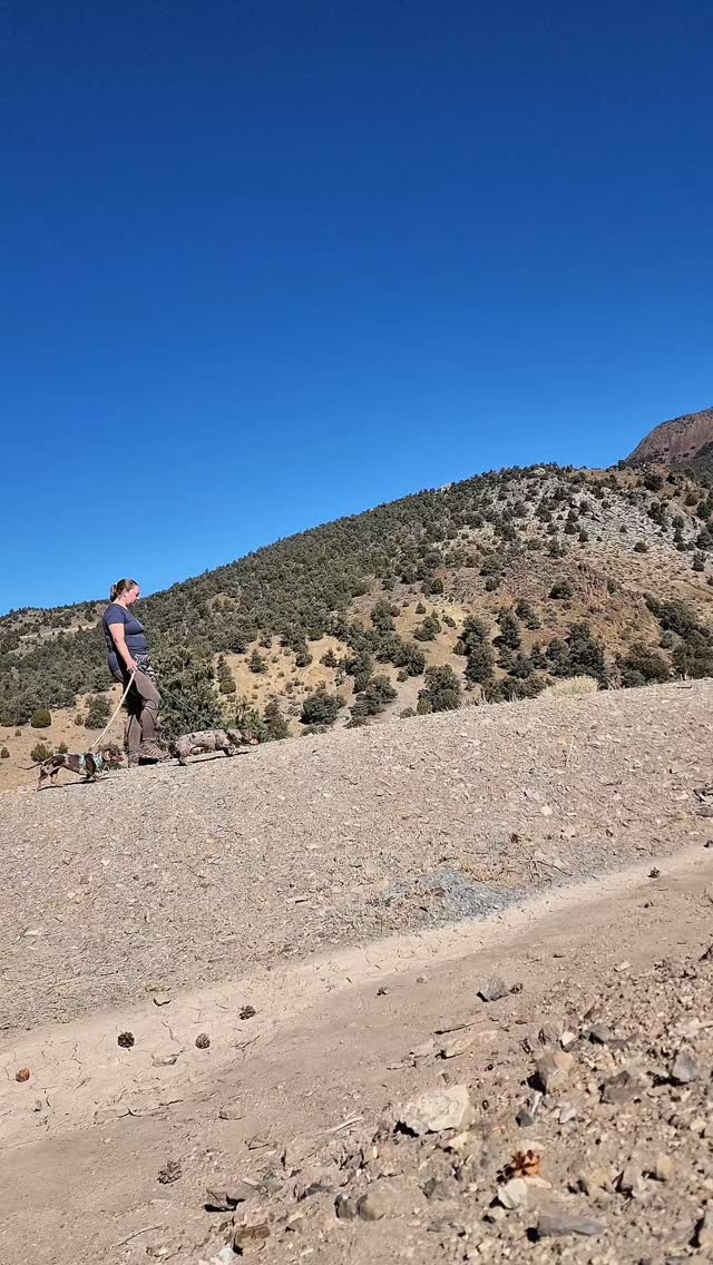 Instagram post by @youdidwhatwithyourwiener for Ruffwear. Caption reads: I started hiking with my Dachshunds because I....