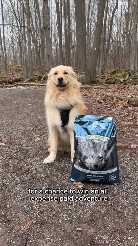 Instagram post by @charlies.castle for Blue Buffalo. Caption reads: #BlueBuffaloPartner Simba’s always ready for the....