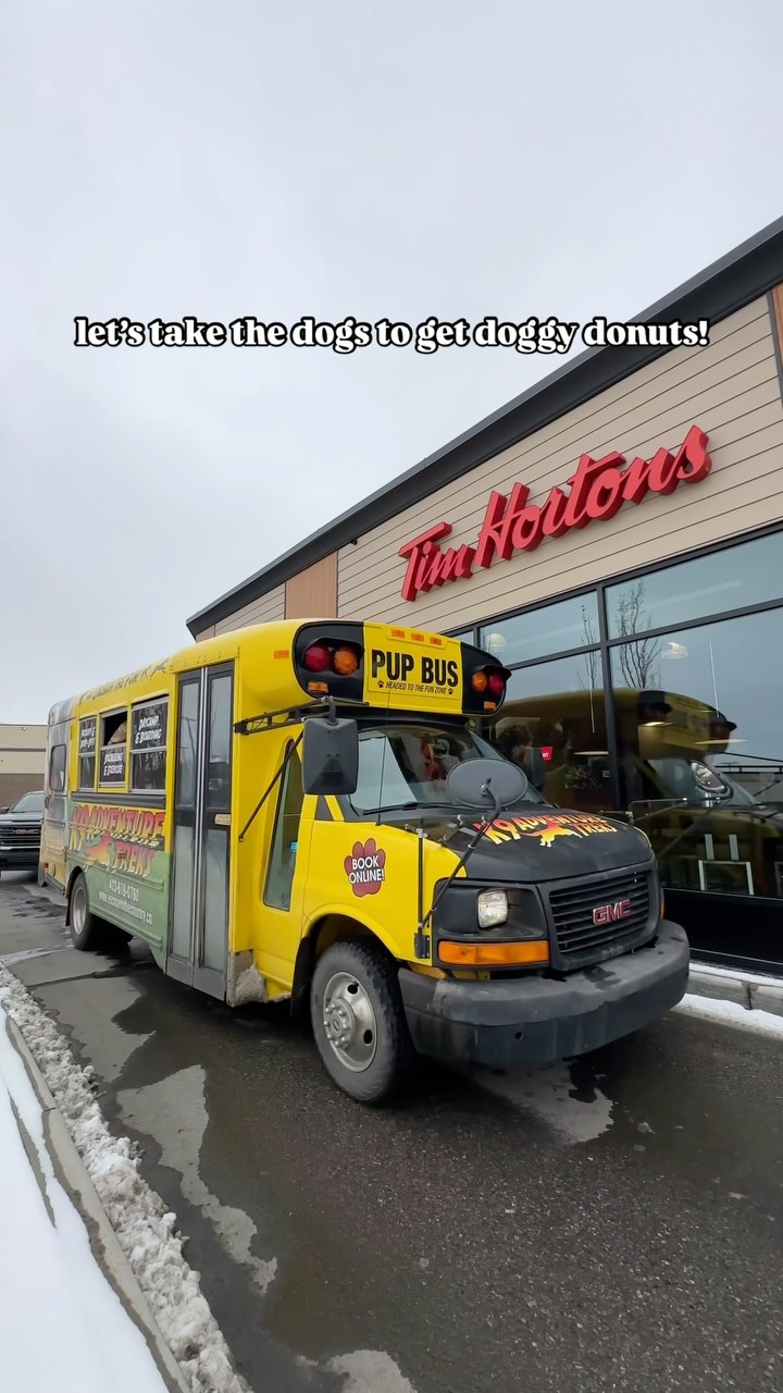 Instagram post by @escapetothecountrykennels for Tim Hortons. Caption reads: The dogs hit up @timhortons to get some plain....