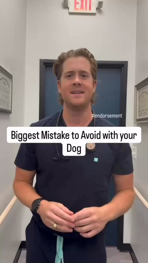 Instagram post by @dr.mikewalker for Zesty Paws. Caption reads: If you’ve ever wondered “When should I start joint....