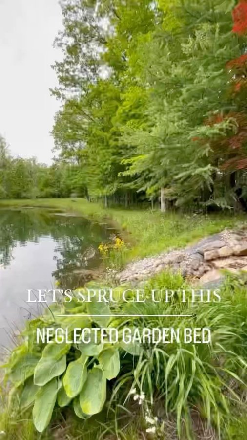 Instagram post by @graceinmyspace for True Value. Caption reads: [...] perennial garden! I headed to my local....