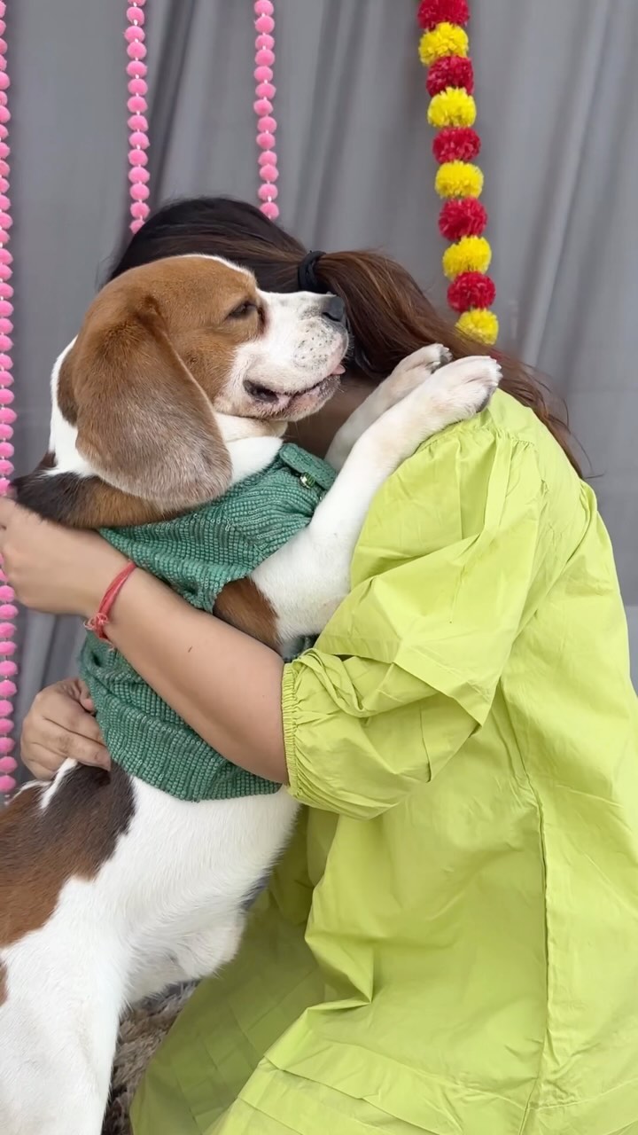 Instagram post by @doodle.thebeagle for OnePlus India. Caption reads: We always include Doodle in all the festivities....