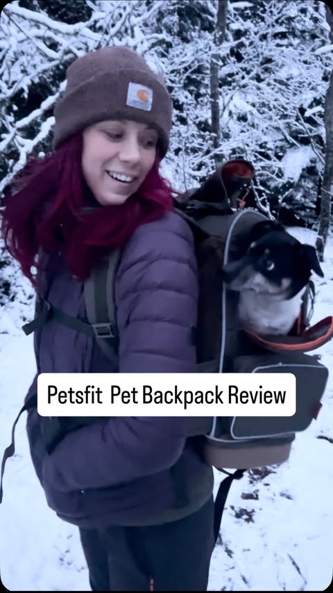 Instagram post by @mo_mountain_mutts for Petsfit. Caption reads: Here’s my pets review of the Petsfit pet backpack!....