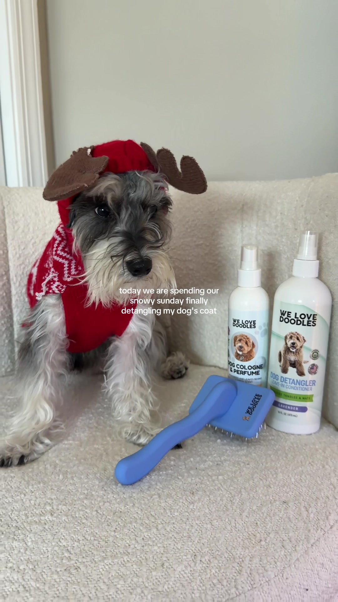 TikTok post by @schnauziebeau for We Love Doodles. Caption reads: [...] doodle to use a doodle brush 🐶 this....