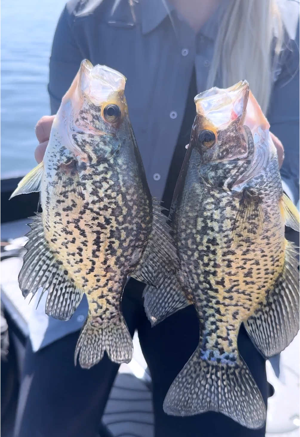 TikTok post by @nicolestoneoutdoors for DSG Outerwear. Caption reads: [...] bait? #dsgfish #doingsomethinggreat @DSG....