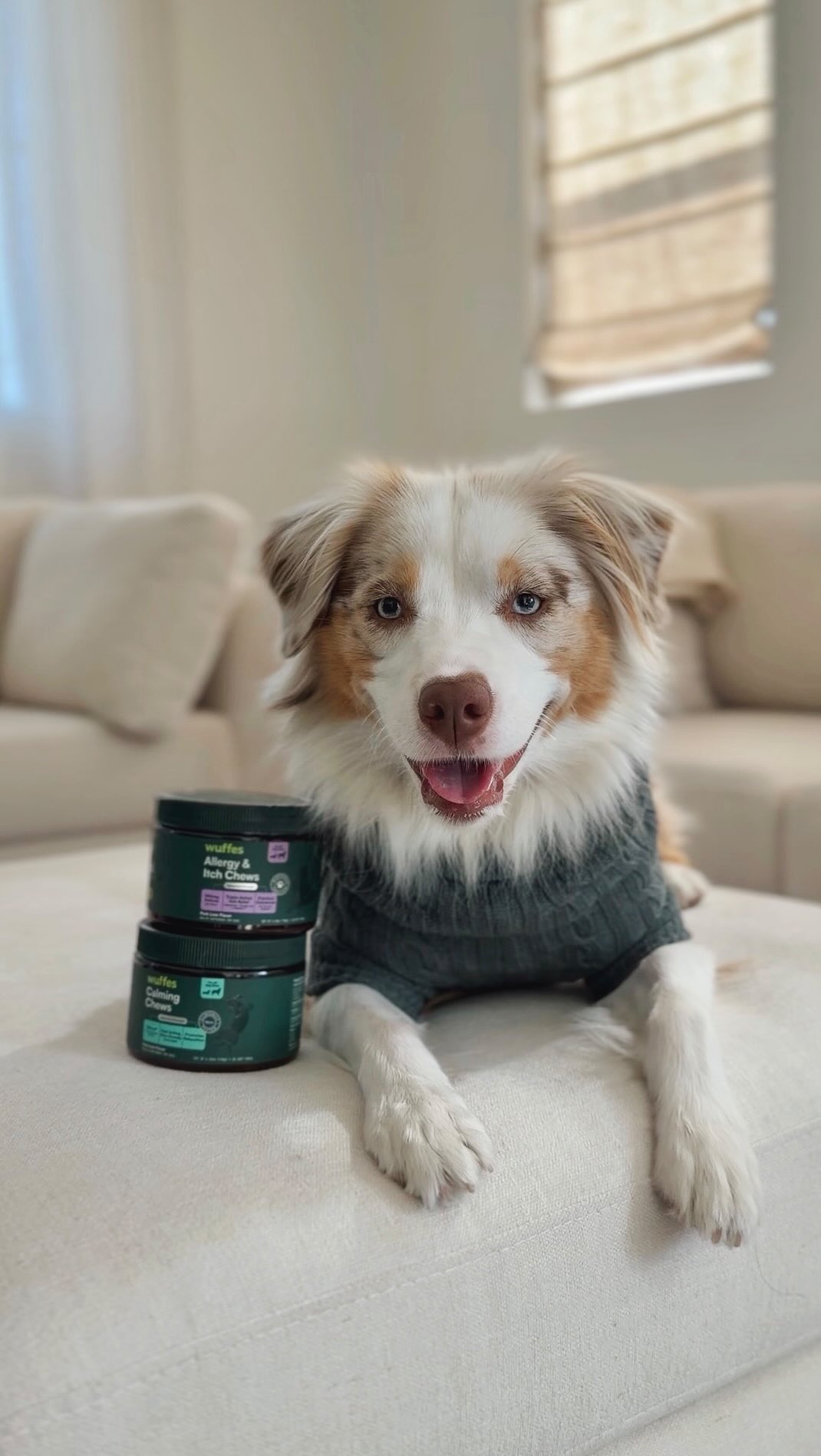 Instagram post by @aussiehana for Wuffes. Caption reads: Big news! @wuffes is now available at 170 @hwfeed....