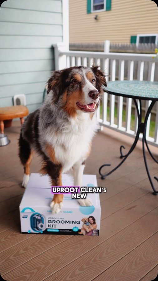 Instagram post by @cozynthewild for Uproot Clean. Caption reads: [...] have #ad I was so obsessed with the....