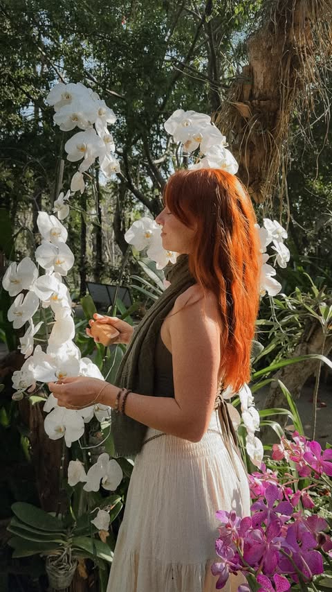 Instagram post by @earthyvas for PlantWave. Caption reads: Plant music part 2 🌱 Ad / @plantwave turns....