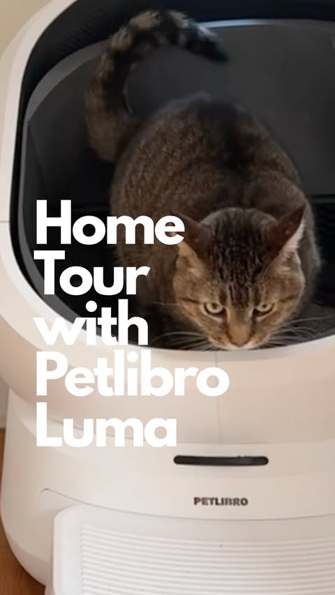 Instagram post by @girlsandtheircats for Petlibro. Caption reads: [...] Your cat deserves a smarter bathroom.....