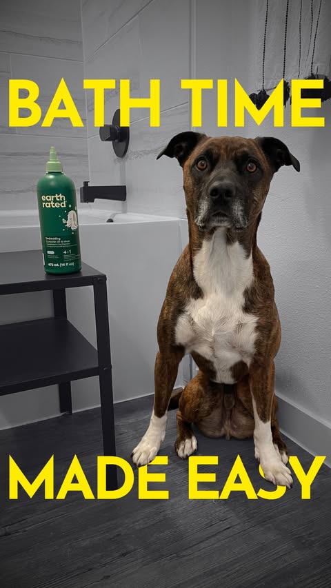 Instagram post by @thepainfreepettrainer for Earth Rated. Caption reads: [...] and these awesome shampoos from @earthrated.....