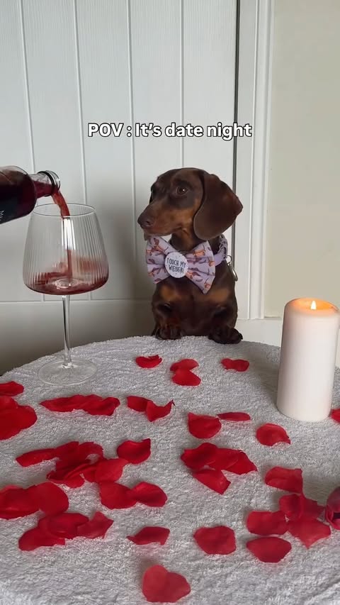 Instagram post by @linkandmash for More Years. Caption reads: I know how to spoil a lady (or guy) ❤️🍽️😏....