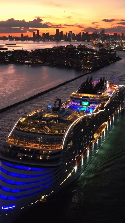 Instagram post by @paulo.travels for MSC Cruises. Caption reads: [...] Beach, MSC World America....