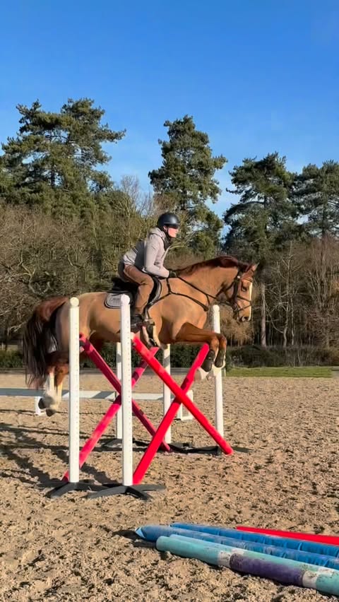 Instagram post by @bubbyupton for FAIRFAX & FAVOR. Caption reads: Jump day with 8 totally different, but equally....