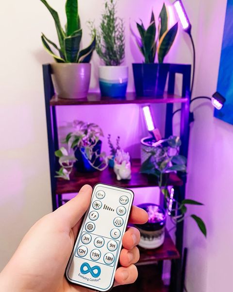 Instagram post by @athena_and_adria for Everlasting Comfort. Caption reads: #ad
My plants are so happy to get some light with....