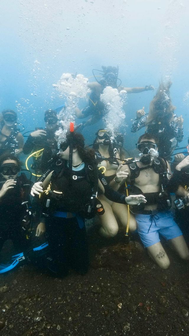 Instagram post by @paloma.angeliki for Scuba Diving. Caption reads: This is your sign to get Padi scuba certified with....