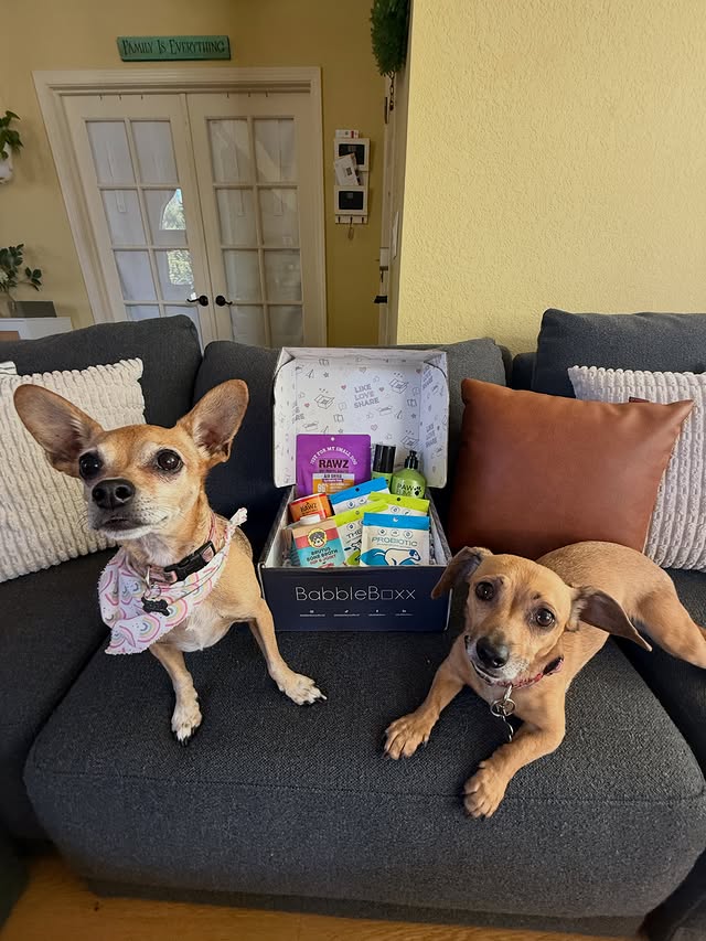 Instagram post by @everydayalonzo for BabbleBoxx. Caption reads: [...] mealtime. You can use discount code:....