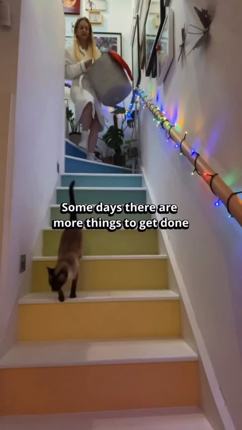 Instagram post by @bryony_page for Quaker Oats. Caption reads: Quaker Oats: Perfectly ready in two minutes 🥣 Me:....