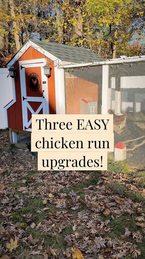 Instagram post by @the_natural_dad for Chickcozy. Caption reads: [...] but we’re so happy to upgrade to a....