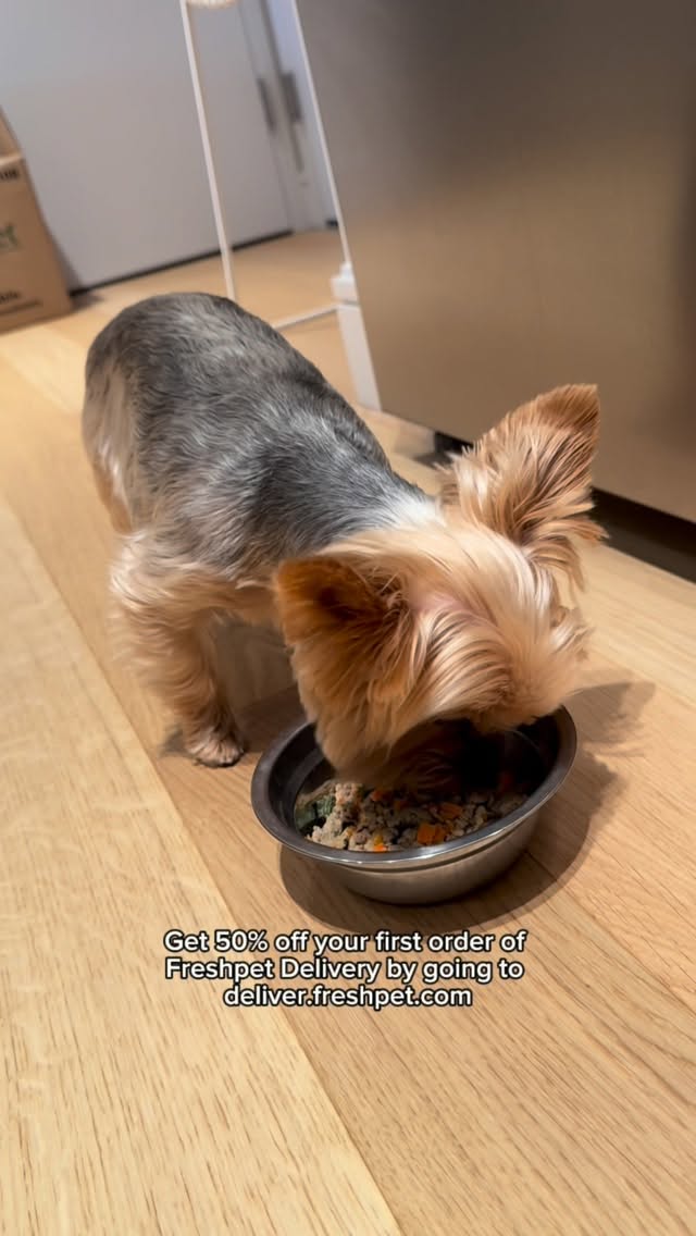 Instagram post by @louieforprez for Freshpet. Caption reads: [...] from the #1 fresh pet food brand!....