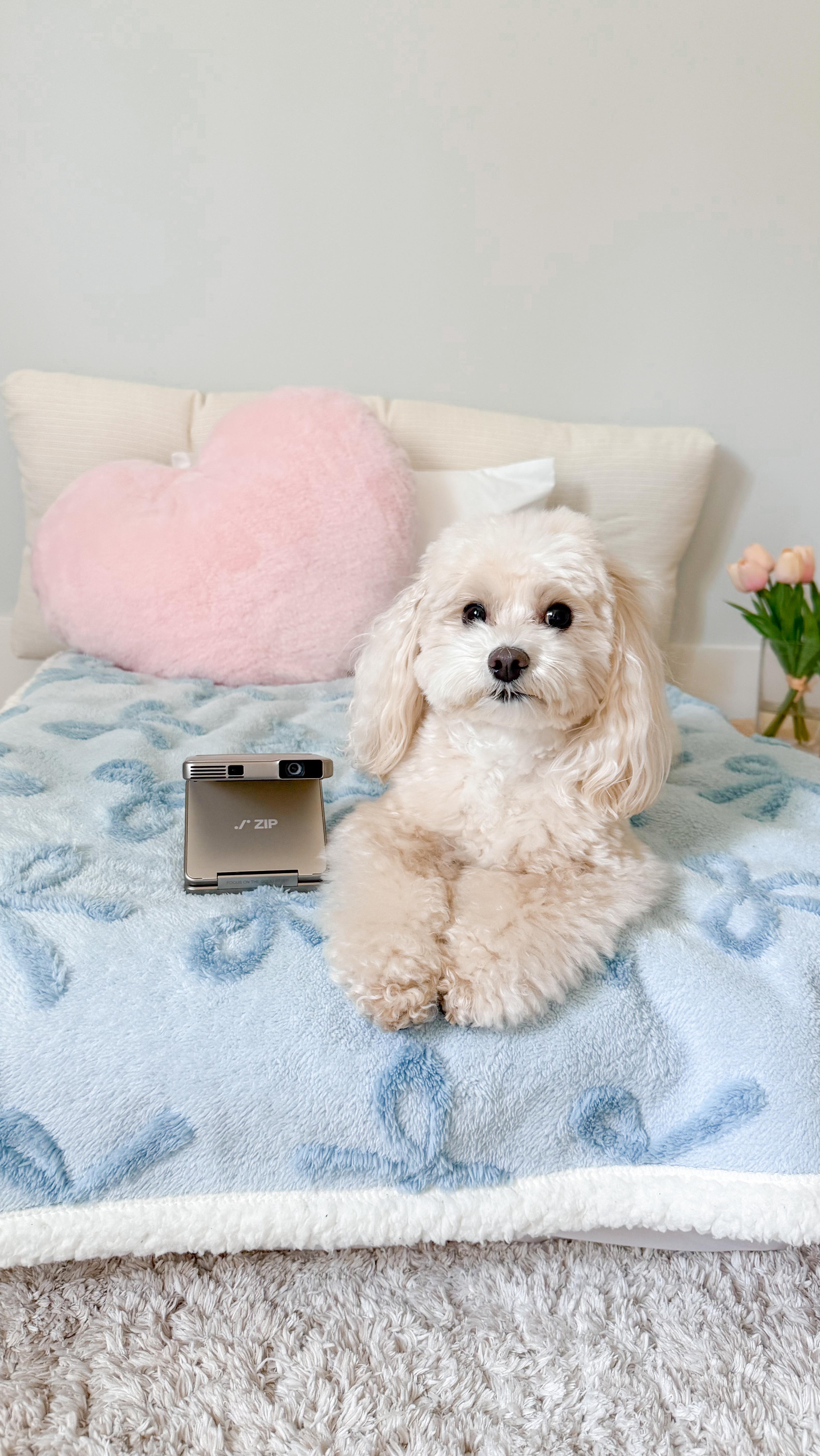 Instagram post by @tatobearr for Aurzen. Caption reads: [...] happy makes me so happy 🥰

Projector:....