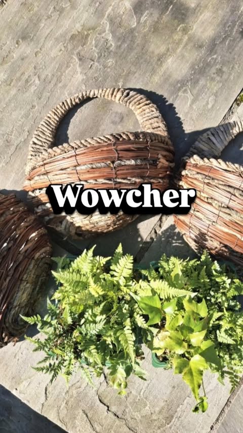 Instagram post by @_homeontheheath for Wowcher. Caption reads: [...] Garden Ready 🌿 Ad| I had no idea @wowcher....