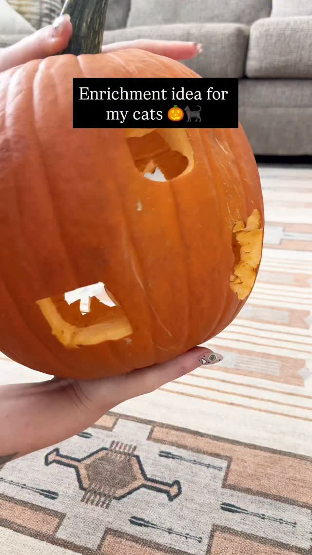 Instagram post by an influencer for Canada Fresh by PetKind. Caption reads: Halloween themed enrichment! | AD Of course using....