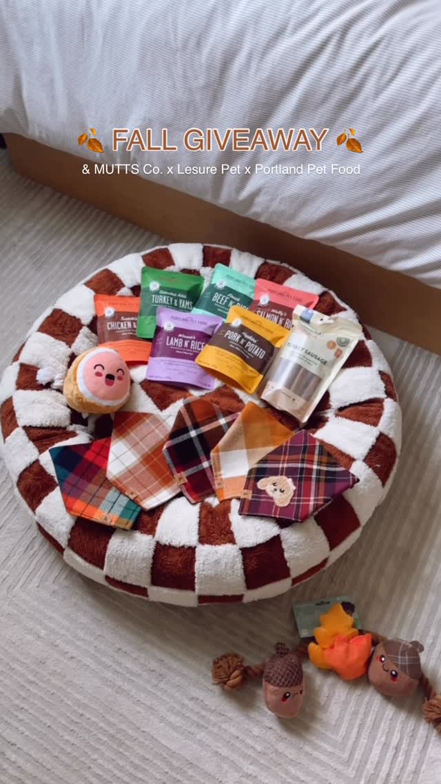 Instagram post by @andmutts.co for Lesure Pet. Caption reads: It’s GIVEAWAY TIME 🤎✨🍂 
We are ramping up for....