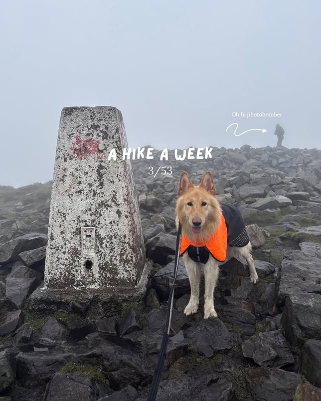 Instagram post by @cooperthewhitewolf for Merrell. Caption reads: 3/53 So I’m better at going on these hikes instead....