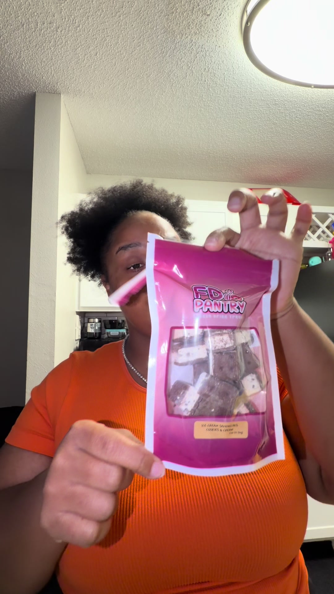 TikTok post by @queshhhh for FD Pantry. Caption reads: [...] your average ice cream sandwich 😮‍💨....